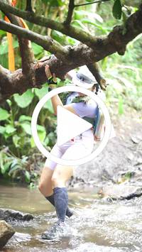 BIB:  <button type="button" onclick="openModal(27824269)" class="btn btn-primary btn-sm float-right" data-toggle="modal" data-target=".modal-high-quality">
                <i class="fa fa-download"></i> Download
                </button>